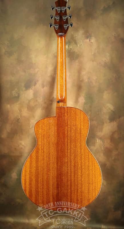 2020's aNueNue LS500 Designed by Sugita Kenji | Reverb