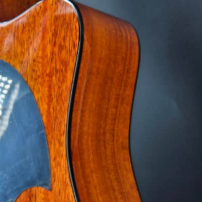H. Jimenez LGD1-CENM  Glossy Guitarra Doble  Glossy Natural Mahogany Cutaway Electric with Hard wood case... image 4