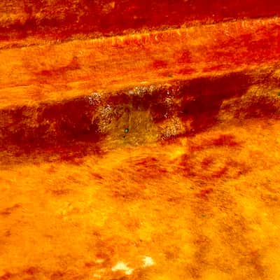 1966 Fender bass tolex hardcase image 19