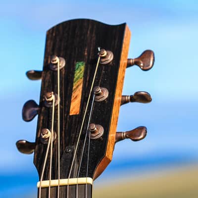 TreeHouse OMZ Acoustic Guitar - Italian Spruce over Ziricote image 9