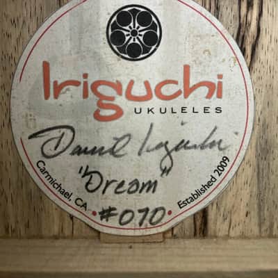 Immagine David Iriguchi Tenor Pineapple Ukulele with Case - 6
