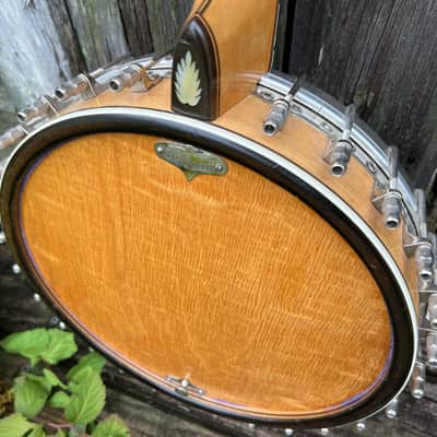 The Bacon Blue Ribbon Style A Tenor Banjo with Original Koverite Case Natural 1920s image 14