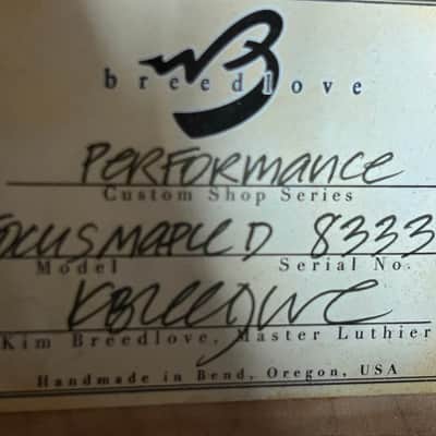Breedlove Performance Focus D 2004 - new frets, Natural image 5