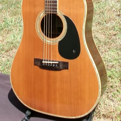 1979 Yairi YW-500P D-35 style +Vintage Hard Case image 4