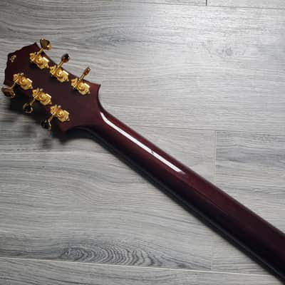 Knaggs Kenai Tier 2 Transparent Charcoal image 15