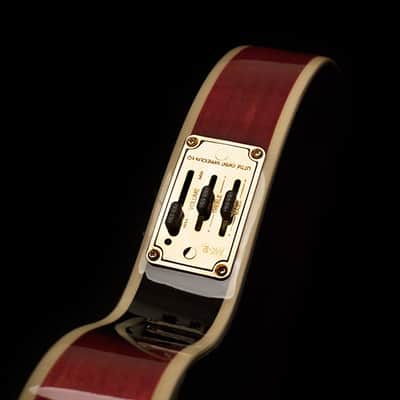 Washburn M3SWE | Bluegrass F-Style Mandolin w/ HSC, Trans Wine Red. New with Full Warranty! image 6