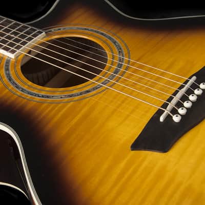 Washburn EA15 Tobacco Burst image 12
