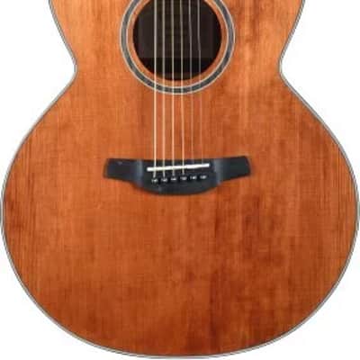 Silver series 100 Jumbo acoustic guitar with Engelmann spruce top