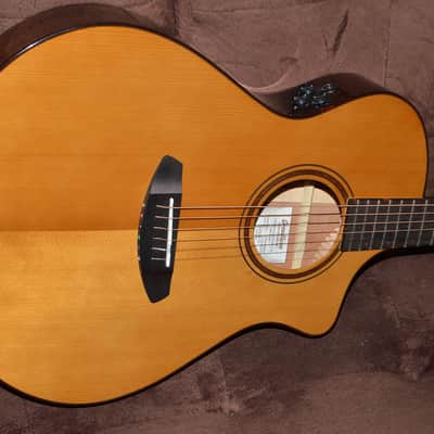 Breedlove Organic Pro Performer Thinline 2024 - Gloss image 5