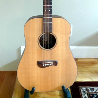 Tacoma DM9 Dreadnought Acoustic Guitar, Made in USA, Solid Wood image 1