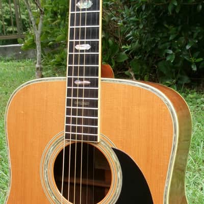 1975 Yairi YW-600 Dreadnought Guitar New Jacaranda Natural+Vintage Hard Case image 3