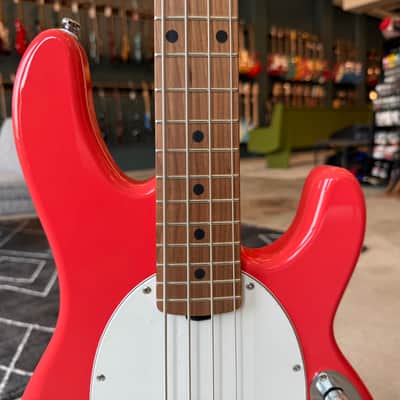 Sterling StingRay Short Scale with Roasted Maple Neck - Fiesta Red image 4