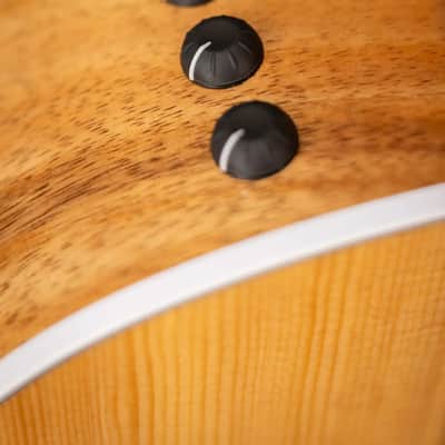Taylor 214ce-K Grand Auditorium Acoustic/Electric Guitar with Gig Bag image 14