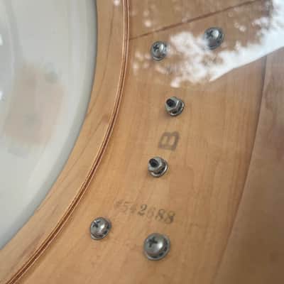 DW Collectors Maple Snare Drum 5x14” image 11