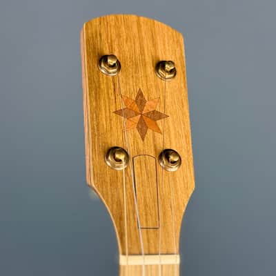 Pisgah Dobson 11" 5-String Banjo with Walnut Rim and Neck, Persimmon Fretboard image 10