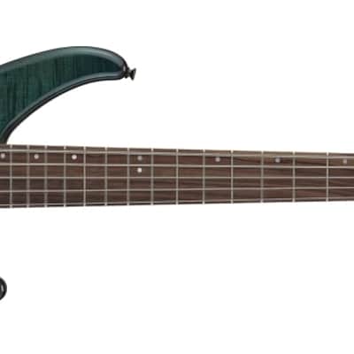 Bacchus WOODLINE 517 AC-BGP/E BLK OIL outlet 4.27kg #139819