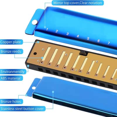 Harmonica Key of C Mouth Organ Diatonic Harmonica with Case, 10 Hole 20 Tones Stainless Blues Harp for Adults, Beginners and Professional (Sapphire Blue) image 3
