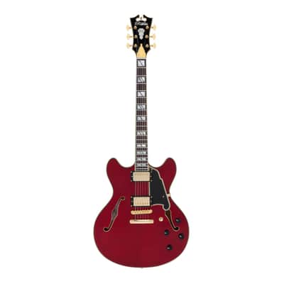D'Angelico DAEDCTCHGS EXCEL DC Double Cutaway Semi-Hollow Body 6-String Electric Guitar w/Deluxe Hard Case image 3