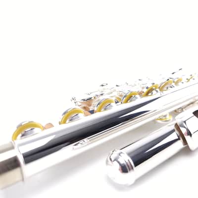 Di Zhao DZ 701 Flute Open Hole B Foot Split E Sterling Silver Pre-Pro NEW image 10