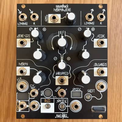 Make Noise Morphagene Module 2008 - Present - Black Bild 1