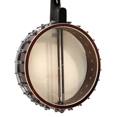 Gold Tone Model IT-250 Irish Tenor 4-String Open Back Banjo with Case image 4