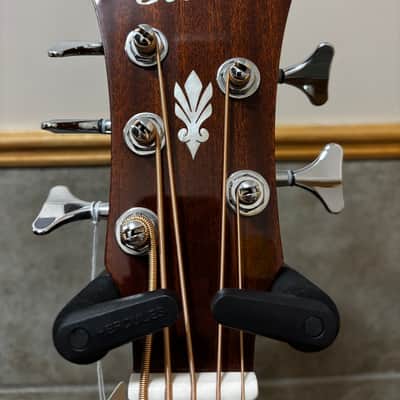 Ibanez AEB105ENT image 5