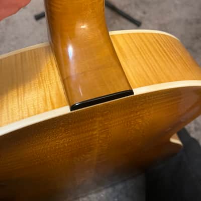 Scharpach Opus Vintage 2021 - Natural lacquer image 16