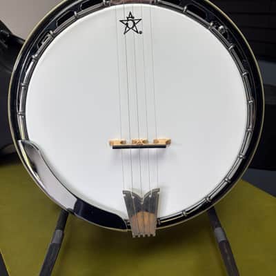 Washburn B16K Americana Series 5-String Banjo 2010s - Sunburst image 2