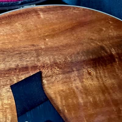 Taylor Spring Limited Edition 12-Fret Grand Concert Acoustic-Electric Guitar 2010 - Natural image 14