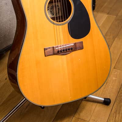 Levin W32 C Natural image 6