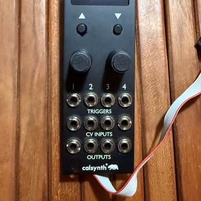 CalSynth uO_C - Micro Ornament & Crime - Black image 1