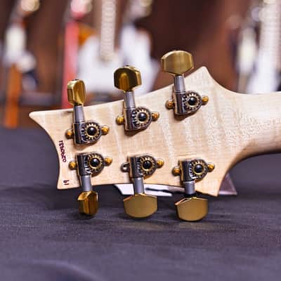 PRS Custom 24 Piezo 2019 burnt maple leaf wood library image 6
