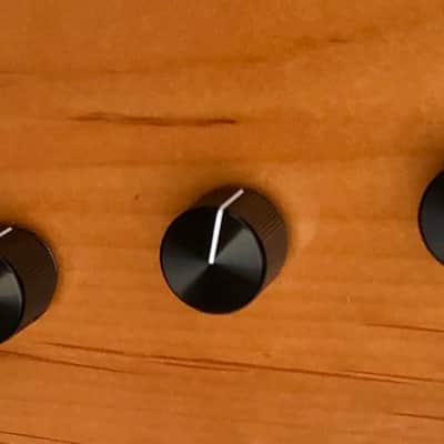 Peavey Palaedium Bass - Jeff Berlin Model 1992 Amber image 9
