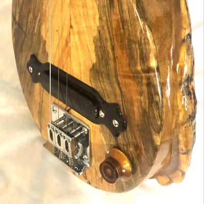 3 string Turtle shell slide guitar image 13