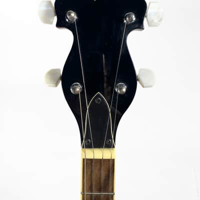 Countryman TCB 24 Banjo image 6