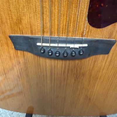Garrison G25 Dreadnought Acoustic Guitar with extras image 13