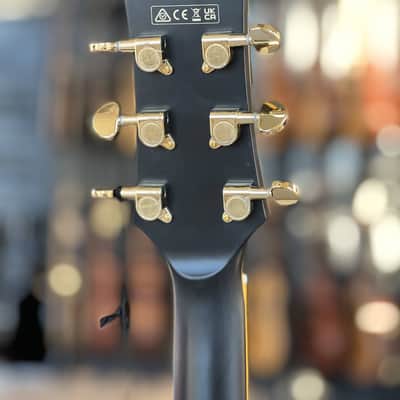 IBANEZ John Scofield JSM20-BKL image 7