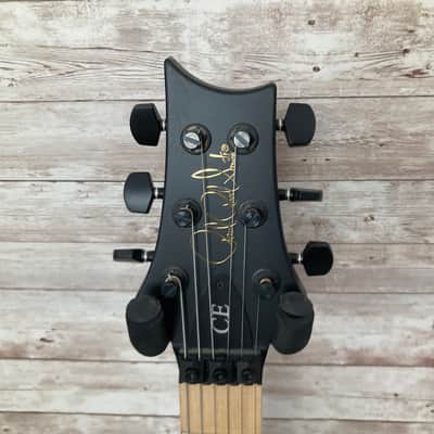 Used PRS Dustie Waring Signature CE 24 Floyd 2020 image 5