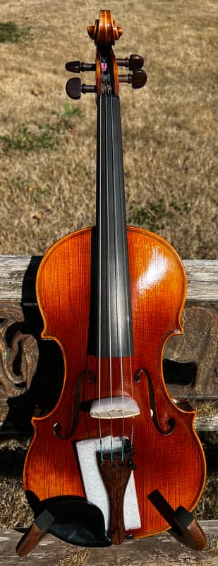 RODERICH PAESOLD / KARL HOFNER PALE 02 LIMITED EDITION ORGAN PIPE 4/4 MASTER VIOLIN 2002 image 1