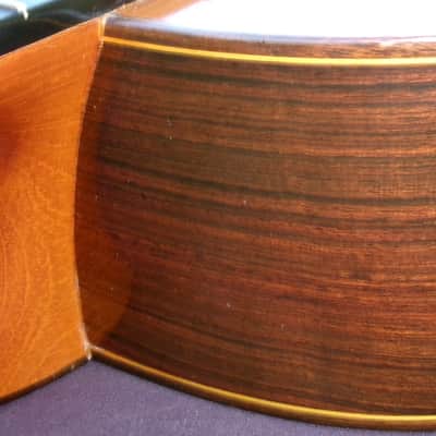 1975 Manuel G. Contreras (1st generation) Classical Guitar Calle Mayor 80, Madrid Cedar Top / Rosewood Body Original Hard Case image 15
