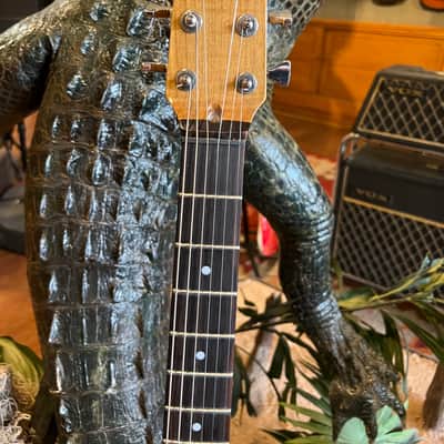 Custom Built Ray Gun J5 Obeche / Maple Burl body Maple / Ebony Neck DiMarzio PUs image 10