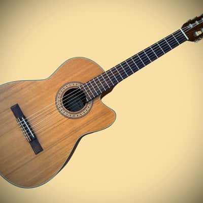 Rare Vintage Handcrafted Vantage VSC-20 CE Nylon Classical Acoustic/Electric Guitar w/Cutaway & Pickup/Preamp image 1