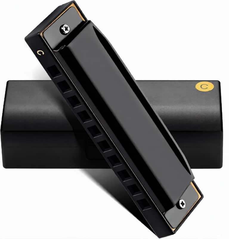 10 Hole C Key Diatonic Blues Harmonica Black | Stainless Steel Cover Phosphor Bronze Reeds, Ideal for Beginners, Adults Pros, Premium Tone for Daily Practice Music Gift image 1