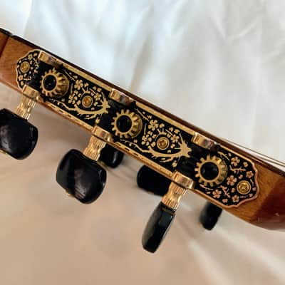 VV: RARE Cordoba GK Studio Ltd Flamenco Negra guitar, pup, nice bag, AMAZING WOOD, BEST PRICE image 12