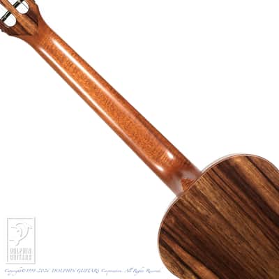 TODA GUITARS <MIJ>VB ALL Wild Mango 2026 image 6