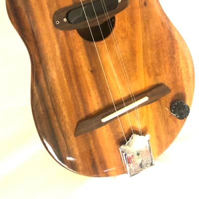 Acoustic/electric dulcimer guitars image 3