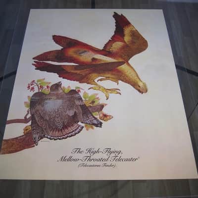 Fender Telecaster & Twin Reverb Authentic Vintage Poster "The High-Flying Mellow-Throated Telecaster" Artist Endicott Circa-1976-Multi Color image 7