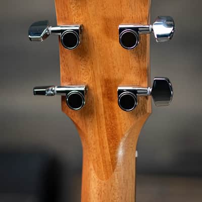Taylor 117e Grand Pacific Acoustic/Electric Guitar with Gig Bag image 6