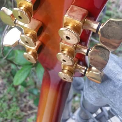 Samick SAT 650 Artist Edition ES335 Guitar OHSC image 20