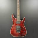 Schecter Hellraiser C1